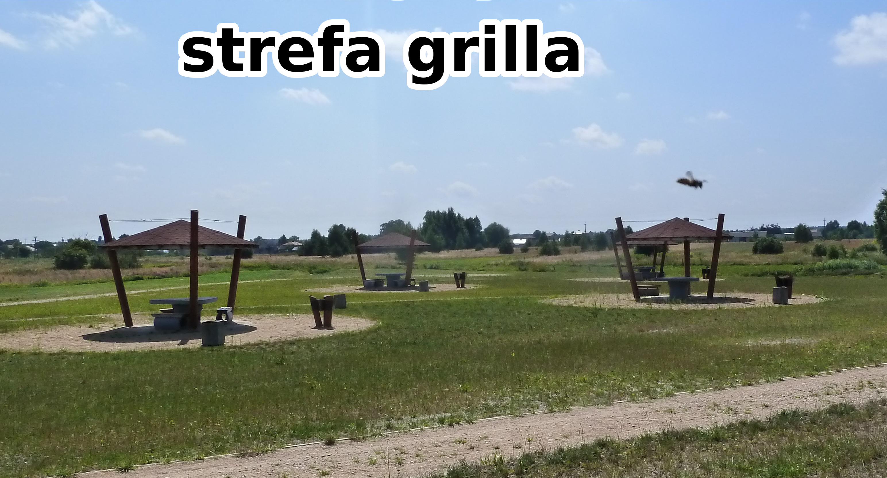 strefa grilla